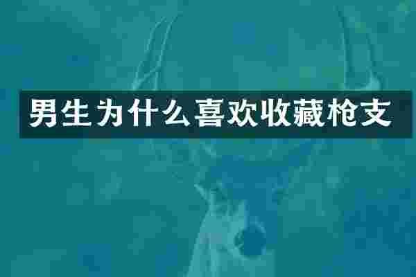 男生为什么喜欢收藏