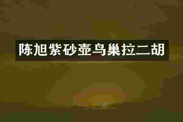 陈旭紫砂壶鸟巢拉二胡