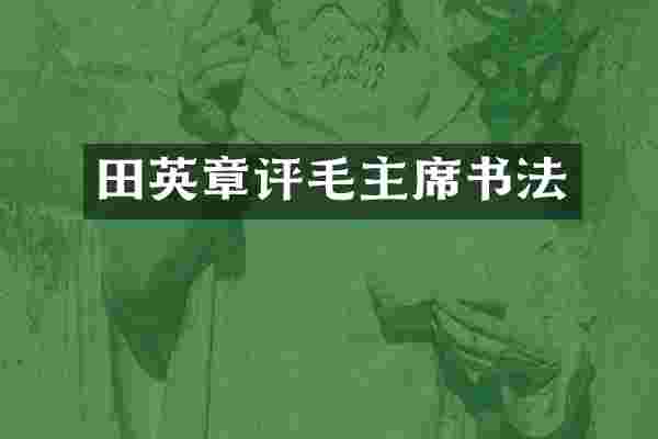 田英章评毛主席书法