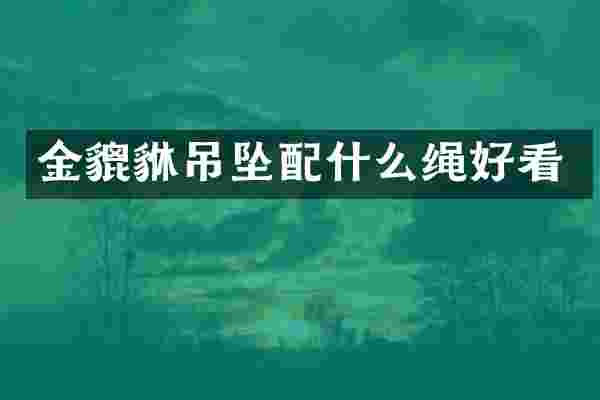 金貔貅吊坠绳好看