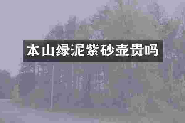 本山绿泥紫砂壶贵吗