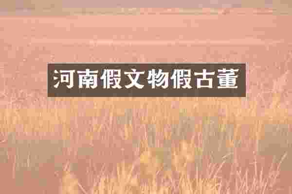 河南假文物假古董