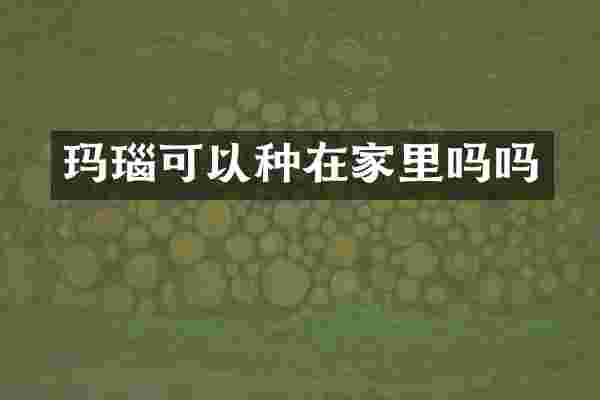 玛瑙可以种在家里吗吗