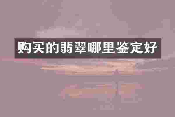购买的翡翠哪里鉴定好