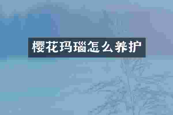 樱花玛瑙怎么养护