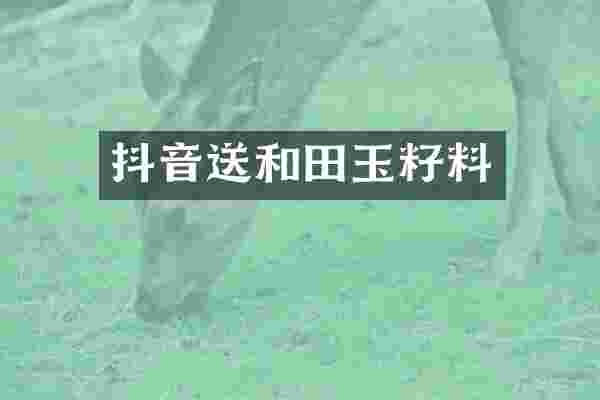 抖音送和田玉籽料