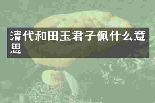 清代和田玉君子佩什么意思