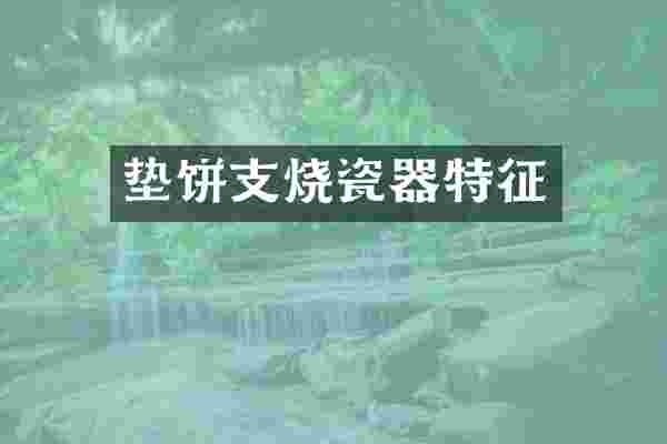 垫饼支烧瓷器特征