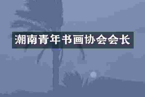 潮南青年书画协会会长