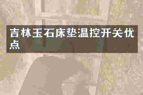 吉林玉石床垫温控开关优点