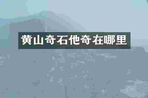 黄山奇石他奇在哪里
