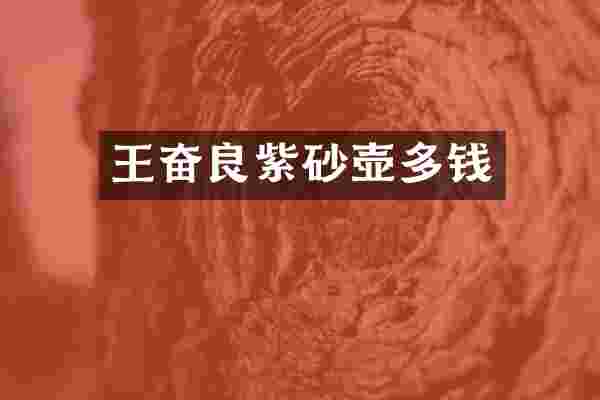 王奋良紫砂壶多钱