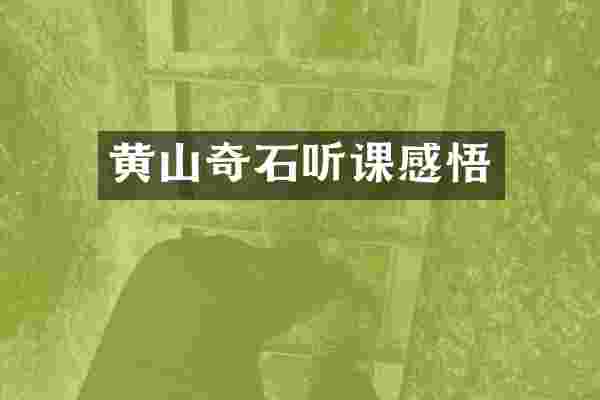 黄山奇石听课感悟