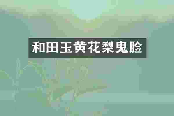 和田玉黄花梨鬼脸
