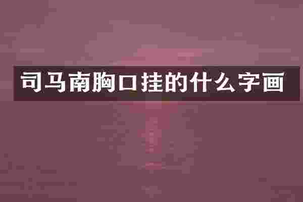 司马南胸口挂的什么字画