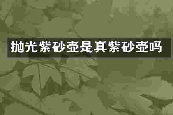 抛光紫砂壶是真紫砂壶吗