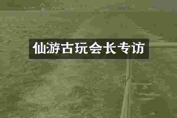 仙游古玩会长专访