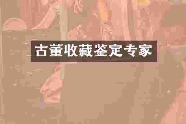 古董收藏鉴定专家