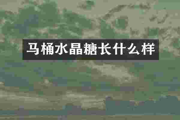 马桶水晶糖长什么样