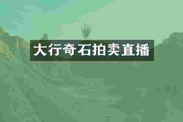 大行奇石拍卖直播