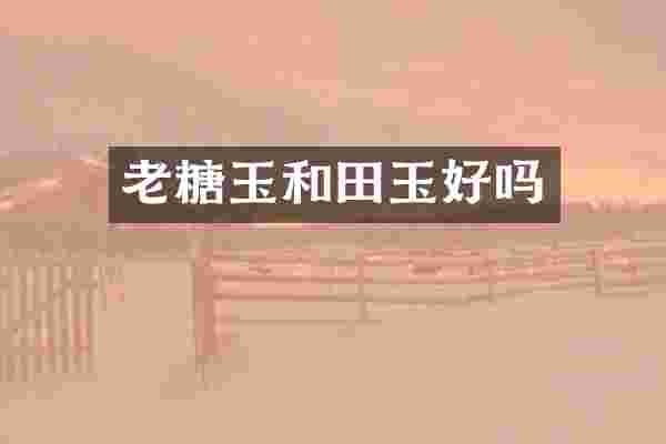老糖玉和田玉好吗