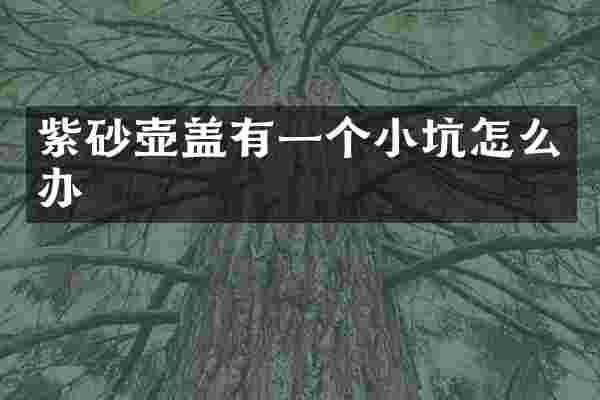 紫砂壶盖有一个小坑怎么办