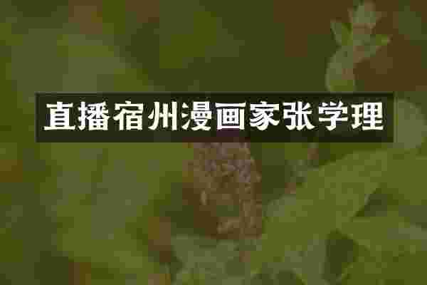 直播宿州漫画家张学理
