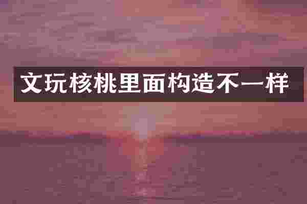 文玩核桃里面构造不一样