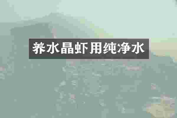 养水晶虾用纯净水