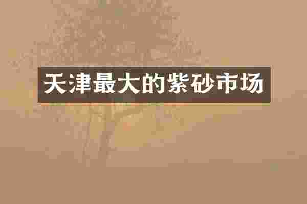 天津最大的紫砂市场