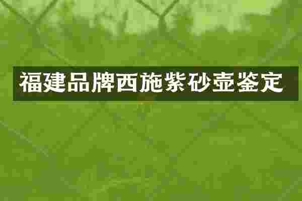 福建品牌西施紫砂壶鉴定
