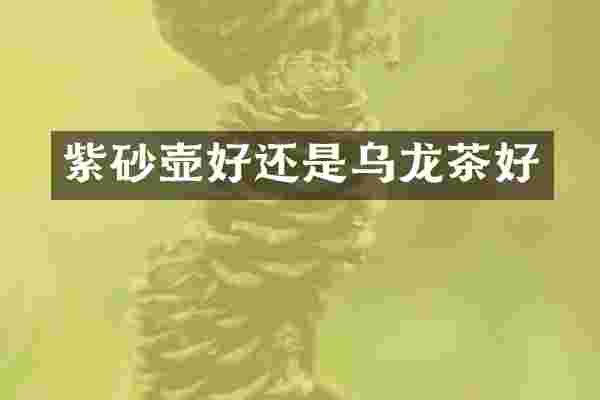 紫砂壶好还是乌龙茶好