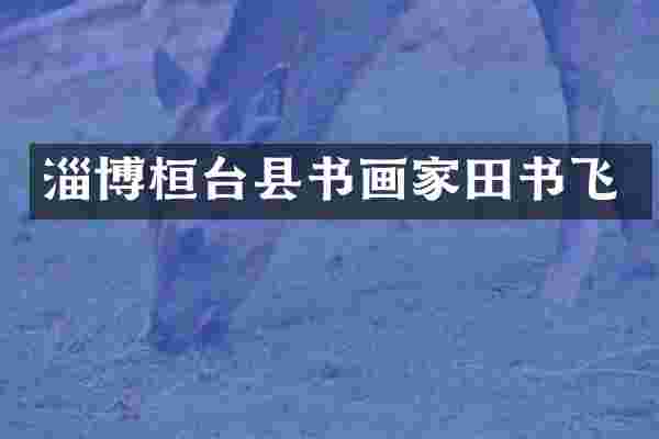 淄博桓台县书画家田书飞