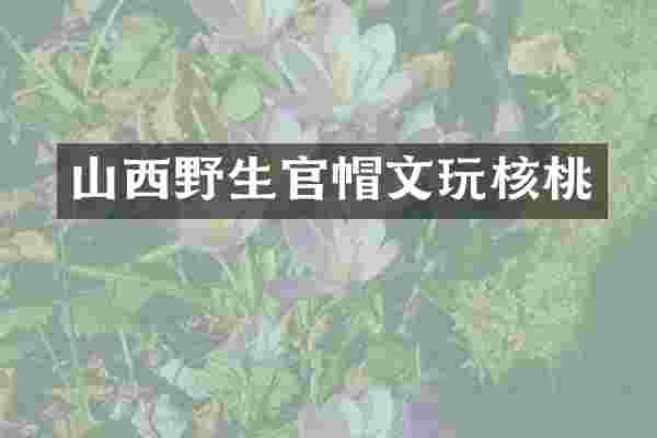 山西野生官帽文玩核桃