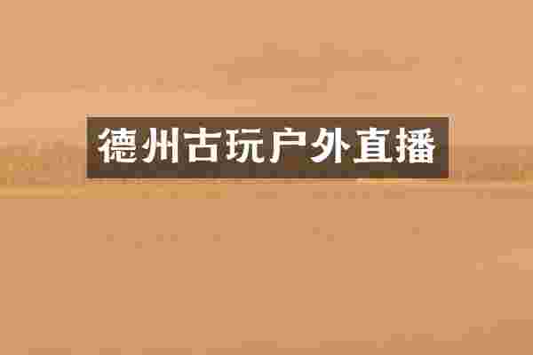 德州古玩户外直播