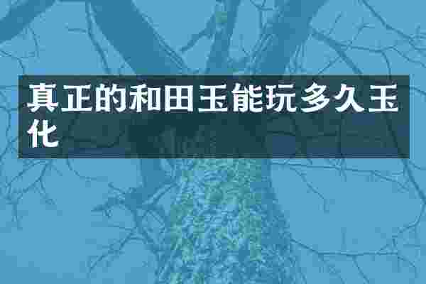 真正的和田玉能玩多久玉化