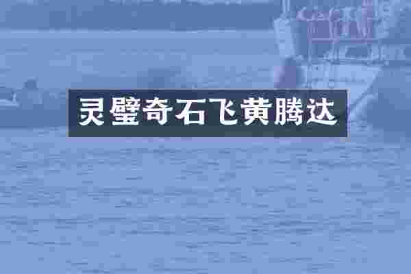 灵璧奇石飞黄腾达