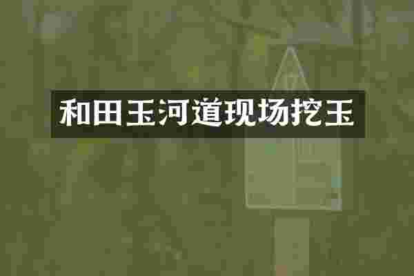 和田玉河道现场挖玉