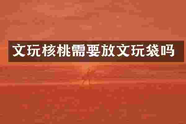 文玩核桃需要放文玩袋吗