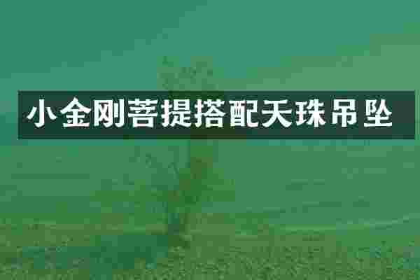 小金刚菩提搭配天珠吊坠