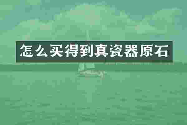 怎么买得到真瓷器原石