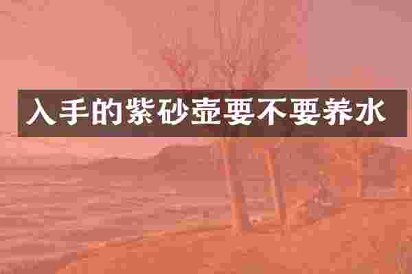 入手的紫砂壶要不要养水