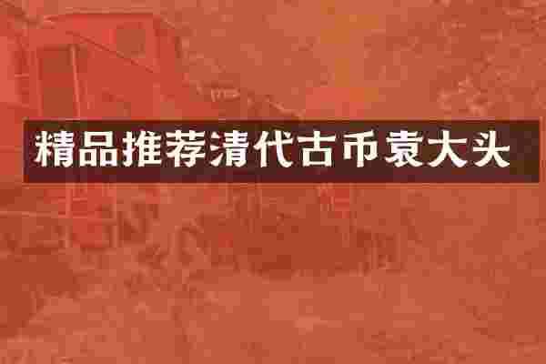 精品推荐清代古币袁大头