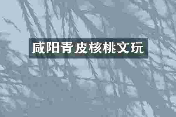 咸阳青皮核桃文玩