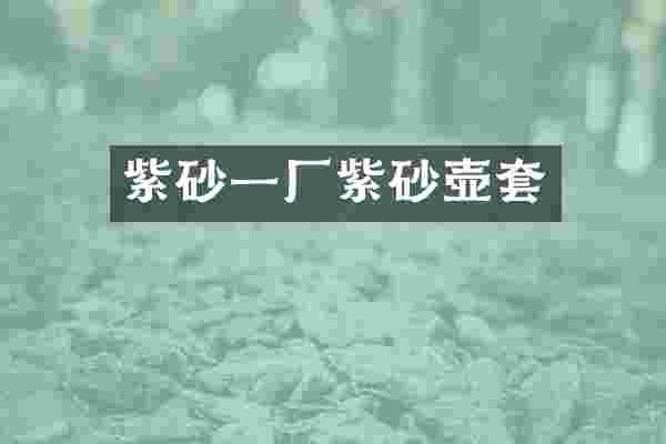 紫砂一厂紫砂壶套