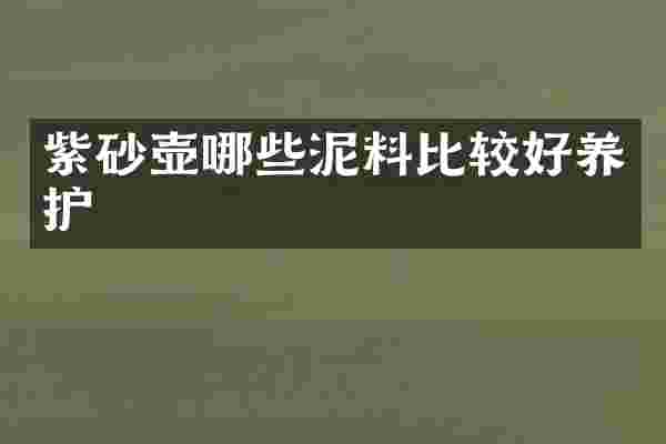 紫砂壶哪些泥料比较好养护