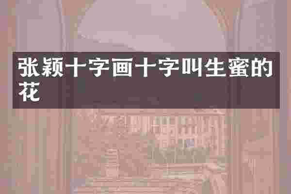 张颖十字画十字叫生蜜的花