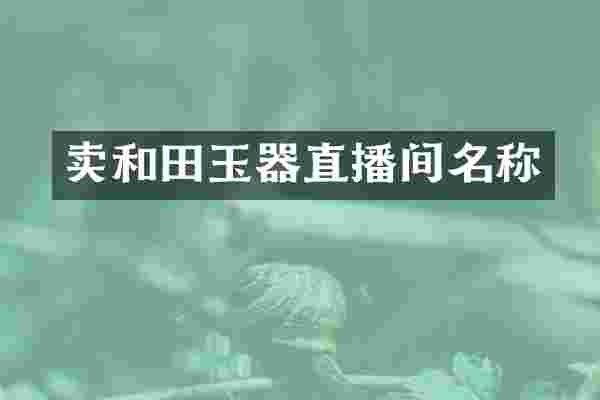 卖和田玉器直播间名称