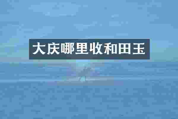 大庆哪里收和田玉