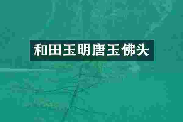 和田玉明唐玉佛头